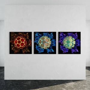 Laissez-vous envoûter par la puissance de Nexus. Trois tableaux qui se répondent, créant une symphonie visuelle intense. Couleurs profondes et formes hypnotiques pour une expérience sensorielle unique. Transformez votre espace en un lieu de contemplation et d'émotion.